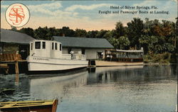 Freight and Passenger Boats at Landing Silver Springs, FL Postcard Postcard Postcard