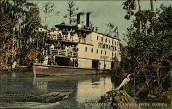 Scene on the Ocklawaha River, "Hiawatha" of the Hart Line Florida Postcard Postcard Postcard