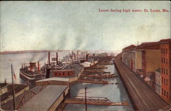 Levee during High Water St. Louis, MO Postcard Postcard Postcard