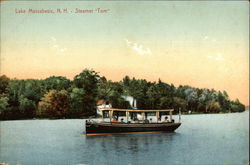 Steamer "Tom" on the Water Postcard