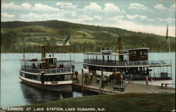 Steamers at lake Station Lake Sunapee, NH Postcard Postcard Postcard