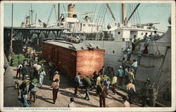 Unloading Bananas from Steamer Steamers Postcard Postcard Postcard