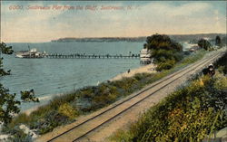 Seabreeze Pier from the Bluff Postcard