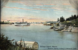 Steamer Making Landing at Mackerel Cove Postcard