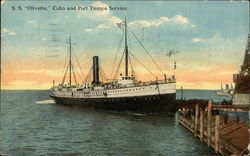 SS Olivette, Cuba and Port Tampa Service Steamers Postcard Postcard Postcard