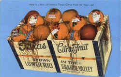 Here Is A Box Of Famous Texas Citrus Fruit For You Postcard Postcard