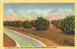 Irrigation Canal And Citrus Grove Postcard