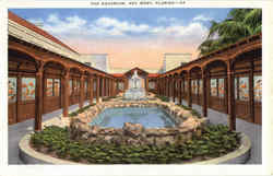 The Aquarium Key West, FL Postcard Postcard