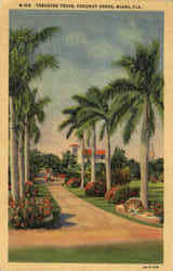 Treasure Trove Coconut Grove Miami, FL Postcard Postcard