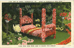 Bed Of Roses Thomasville, GA Postcard Postcard