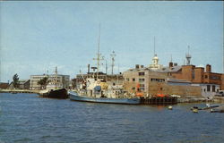 Harbor at Woods Hole Cape Cod, MA Postcard Postcard Postcard