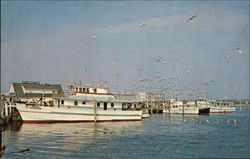 Fishing and Party Boats Montauk, NY Postcard Postcard Postcard