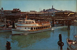 Gold Coast Cruises Postcard