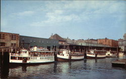 Casco Bay Lines Steamboats at Dock Postcard