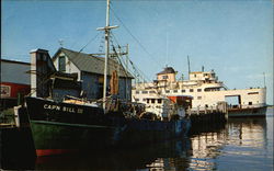 Steamer "Nantucket" at Woods Hole Postcard