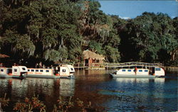 Rainbow Springs - Submarine Boat Trips Postcard