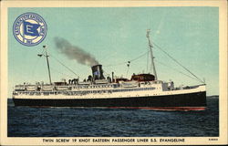 Eastern Steamship Lines - S.S. "Evangeline" Steamers Postcard Postcard Postcard