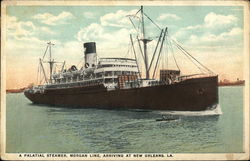 A palatial steamer, Morgan Line, arriving at New Orleans, LA Steamers Postcard Postcard Postcard