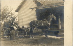 Herman Riding Buggy Pulled By Nell Horse-Drawn Postcard Postcard Postcard