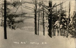 Snow View of "The Ark" Jaffrey, NH Postcard Postcard Postcard