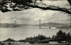 Golden Gate Bridge San Francisco, CA Postcard Postcard Postcard