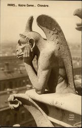 Gargoyle at Notre-Dame Postcard