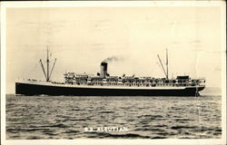 S,S. Aleutian Steamers Postcard Postcard Postcard