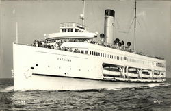 Steamer "Catalina" Steamers Postcard Postcard Postcard