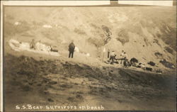 SS Bear Survivors On Beach Postcard