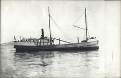 Steamer "Doris" Postcard