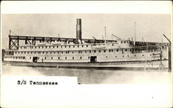 S/S Tennessee Steamers Postcard Postcard Postcard