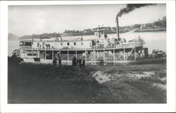 Steamer "Greendale" Postcard