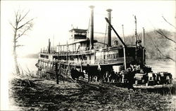 Steamer "Tacoma" Steamers Postcard Postcard Postcard