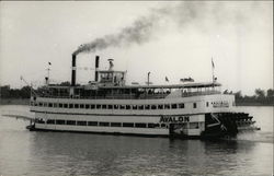 Steamer Avalon Steamers Postcard Postcard Postcard