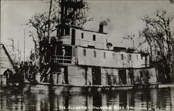 Str. Alligator Ocklawaha River, FL Postcard Postcard Postcard