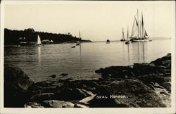 Boats in Seal Harbor Postcard