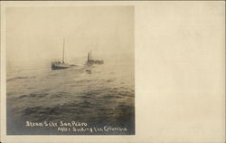 Steamer San Pedro After Sinking in the Columbia Oregon Postcard Postcard Postcard