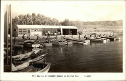 The Marina at Desert Beach on Salton Sea Canoes & Rowboats Postcard Postcard Postcard