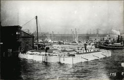 The "Tuscarora" at Harbor Postcard