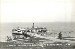 Steamers "Salacia and Catherine" Postcard