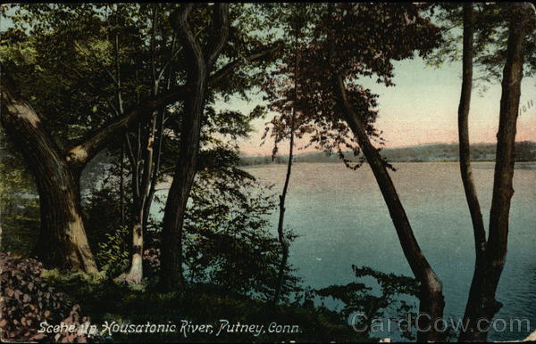 Scene up Housatonic River Putney, CT Postcard