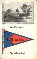 Our Farmers are Getting Rich Lime Ridge, PA Postcard Postcard Postcard