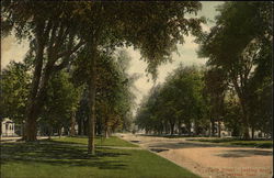 South Street, Looking South Postcard