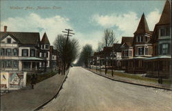 Looking Along Windsor Ave. Postcard