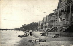 Houses and Beach-goers Along the Shore Postcard