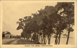 View Along the Shore Morningside, CT Postcard Postcard Postcard