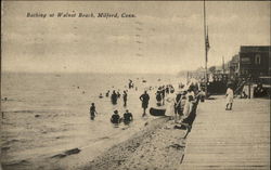 Bathing at Walnut Beach Milford, CT Postcard Postcard Postcard