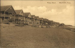 Looking Along Walnut Beach Milford, CT Postcard Postcard Postcard