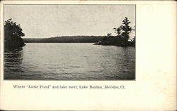 Where "Little Pond" and lake meet, Lake Bashan Moodus, CT Postcard Postcard Postcard