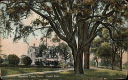 Historic Elms Norwich, CT Postcard Postcard Postcard